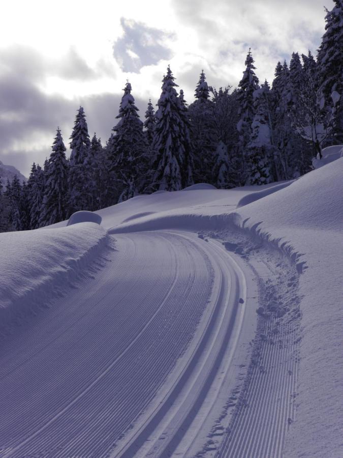 Oberauhof Chalet クライナル エクステリア 写真